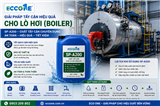 Hóa Chất Tẩy Cáu Cặn Boiler | Quy Trình Tẩy Cặn Lò Hơi An Toàn, Hiệu Quả